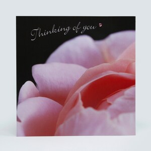 Penser à vous carte Rose