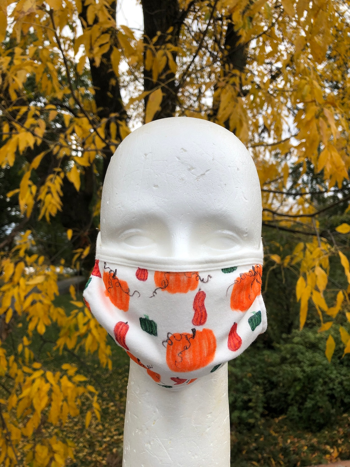 Cotton Hand Drawn Autumn Squash COVID19 Face Mask Etsy