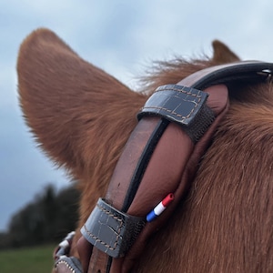 Puede incluir: Primer plano de una cabezada de caballo de cuero marrón con frontal de cuero negro y un pequeño detalle de bandera francesa. La cabezada está en la cabeza de un caballo.