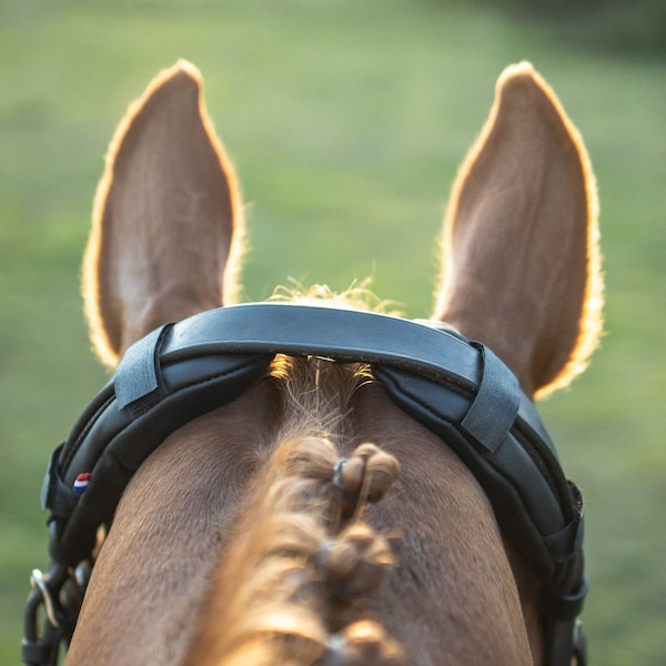 Headstall pad releasing the cervicals, adaptable to bridles, bridles, halters - Wool