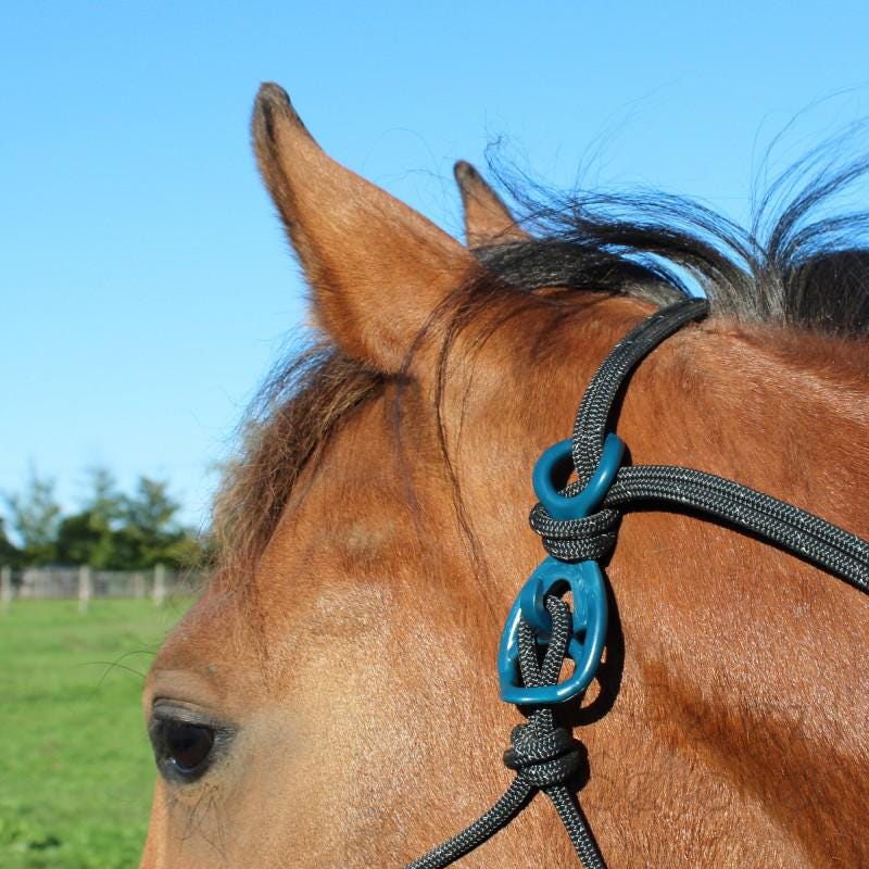 Rik Rope Rope Halter Clip – Azur Pack (royal Blue, Denim, Sky Blue, Emerald ...