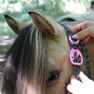 Hook for rope halter, practical & safety, ethological halter