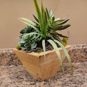 Set of Three Succulent Planters, Succulent Pots, Indoor Succulent Planters, Herb Planter, Herb Pot, Wooden Planter, Farmhouse Decor