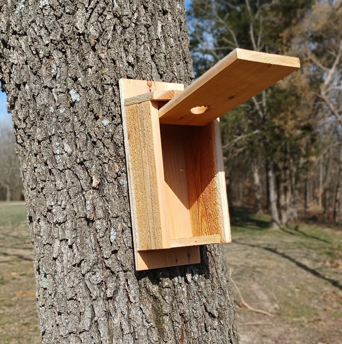 Blue Bird House Cedar Blue Bird House - Etsy