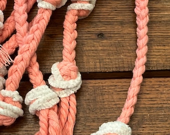 Bonito látigo rosa espinoso