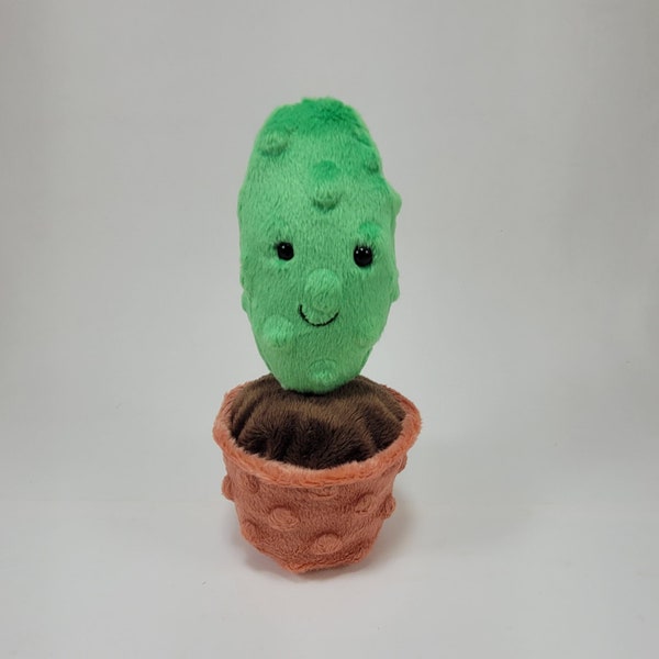 Happy Tall Potted Cactus