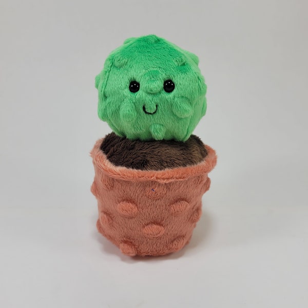 Happy potted cactus