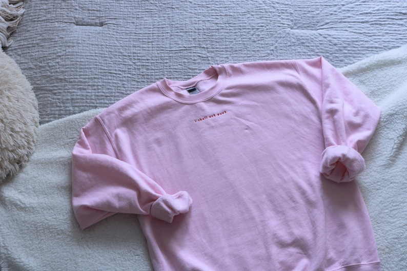 May include: A pink sweatshirt with the text "I shall not want" embroidered in red on the front.