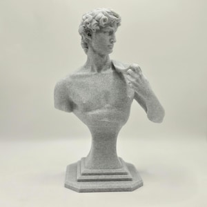 Home decor elegant Statue of David marble finish