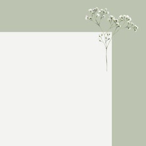 Plantilla de borde de salvia de aliento de bebé en blanco para scrapbooking Tamaño de carta legal imprimible descarga instantánea planificador membrete estacionario, verde