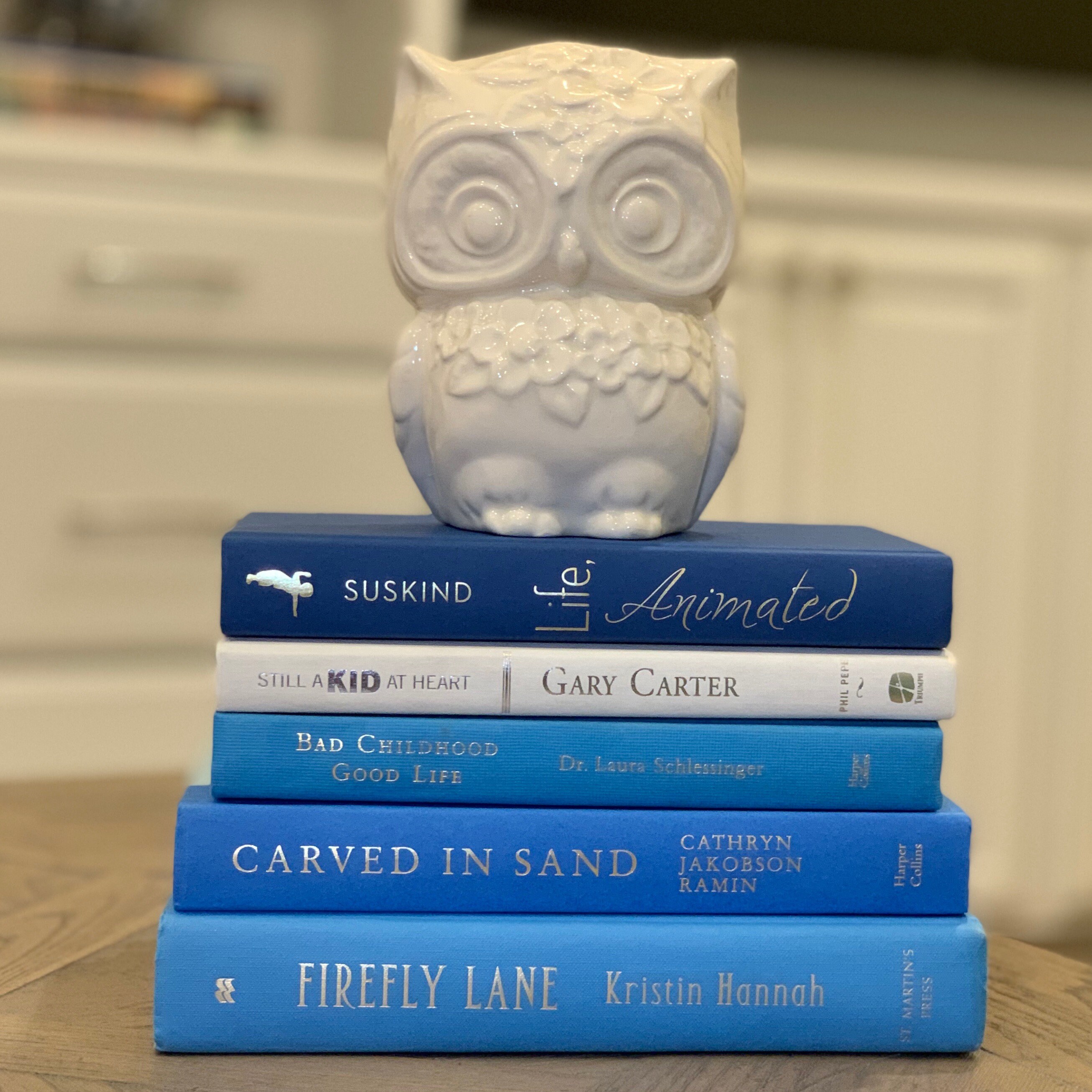 Decorative book set 5 blue and white books instant library Etsy