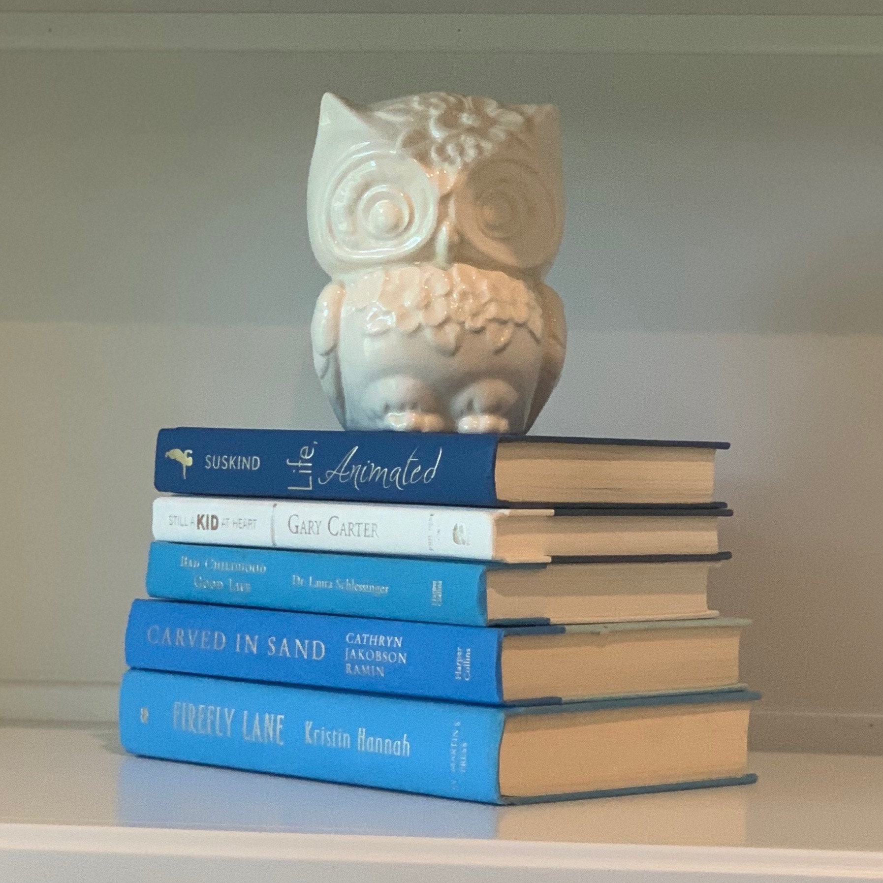 Decorative book set 5 blue and white books instant library Etsy