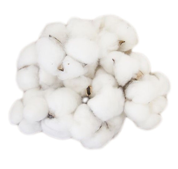 Natural Cotton Ball Pods, Cotton balls, Dried White Cotton for DIY  Christmas Wreath