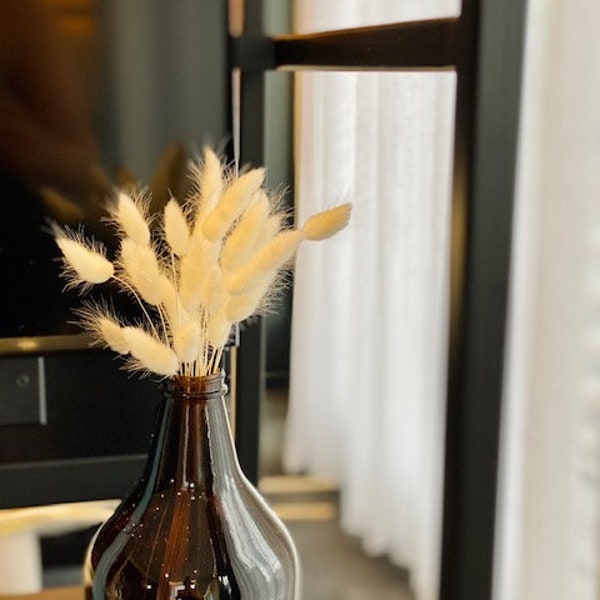 Bunny Tails White, Lagurus Grass, Preserved Florals