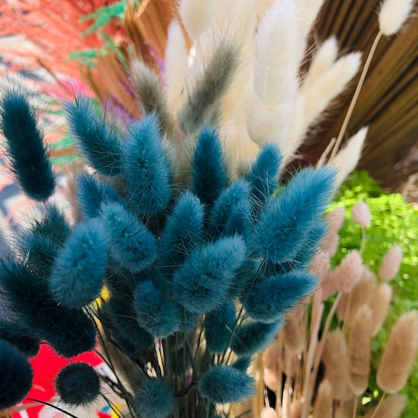 Bunny Tails Turquoise, Lagurus Grass, Preserved Florals