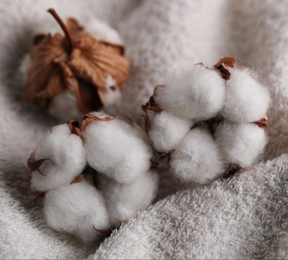 Natural Cotton Balls 