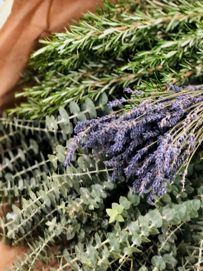 Fresh Eucalyptus & Dried Lavender Shower Bundle Shower Etsy