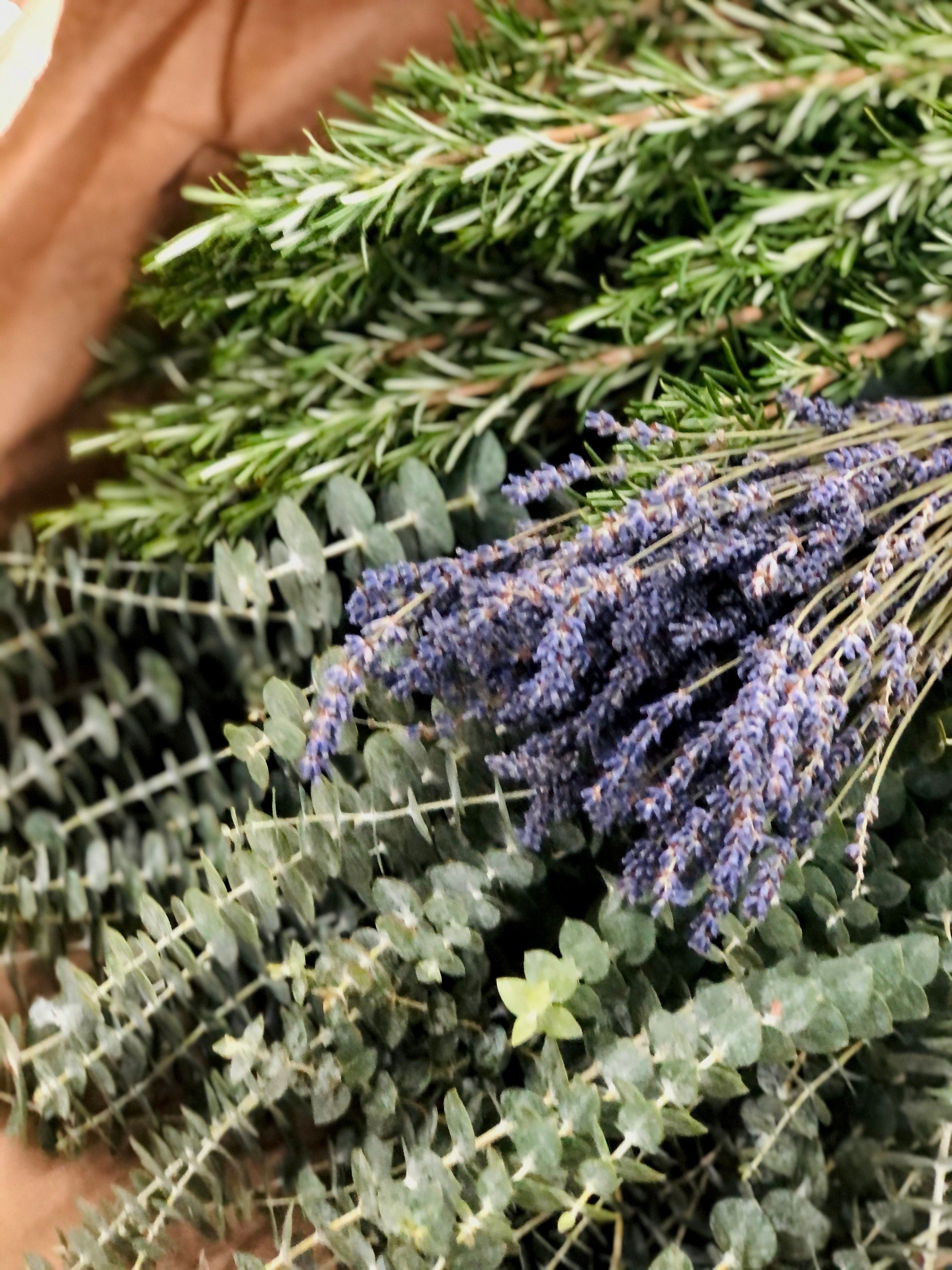 Preserved Dried Bunch of Lavender Stems Smells Beautiful Shower