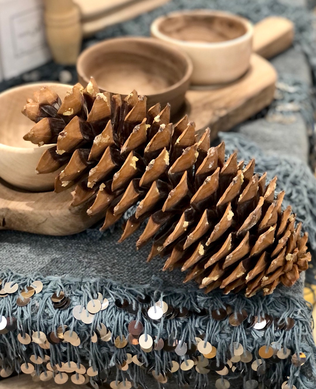 Jumbo Pine Cones, Natural Pine Cone, Craft Supply, Rustic Decor