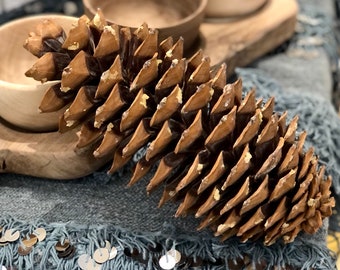 Jumbo Pine Cones, Natural Pine Cone, Craft Supply, Rustic Decor, Christmas Decor