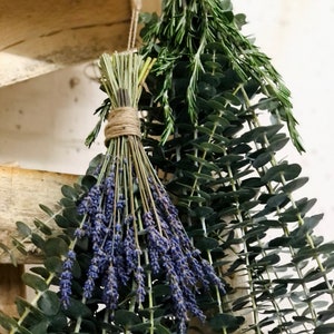 Fresh Eucalyptus & Dried Lavender Shower Bundle, Shower Aromatheraphy