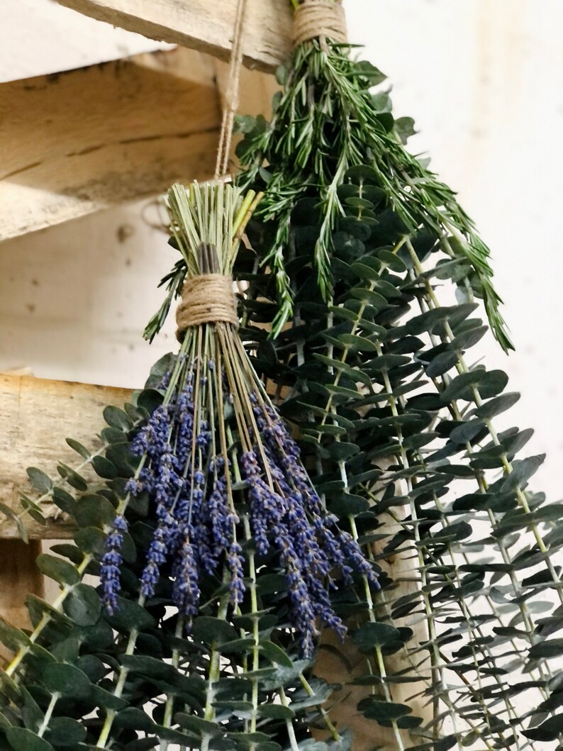 Fresh Eucalyptus & Dried Lavender Shower Bundle Shower Etsy