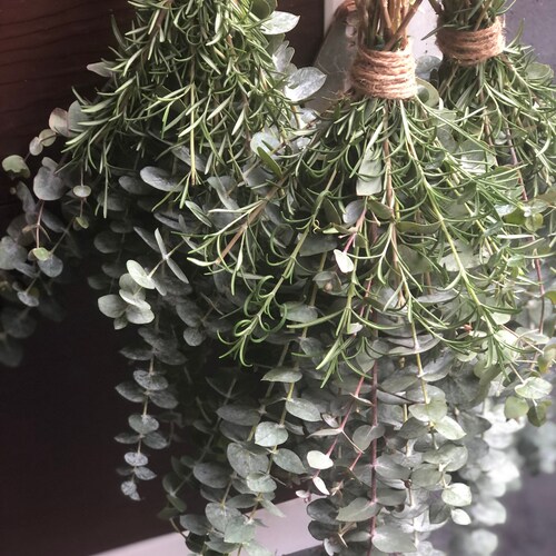 Fresh Eucalyptus & Rosemary Shower Bundle Shower Etsy