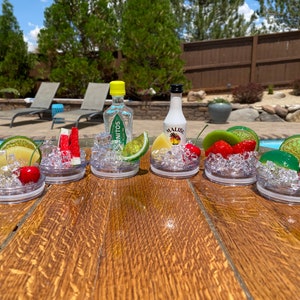 Fruit and Ice (fake)/bottle (fake) replaceable toppers for 20oz tumblers/ Fruit topper Ice topper Replacement lid Replacement tumbler top