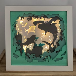 Shark lighted shadow box
