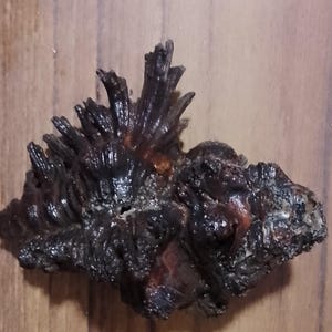 May include: A dark brown, organic-shaped object with a rough, textured surface. It features a series of vertical, spine-like protrusions on one side and a dense, craggy, and irregular cluster of dark material on the other side, showing deep crevices.