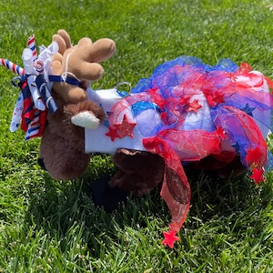 Fabuleux costume patriotique de furet !