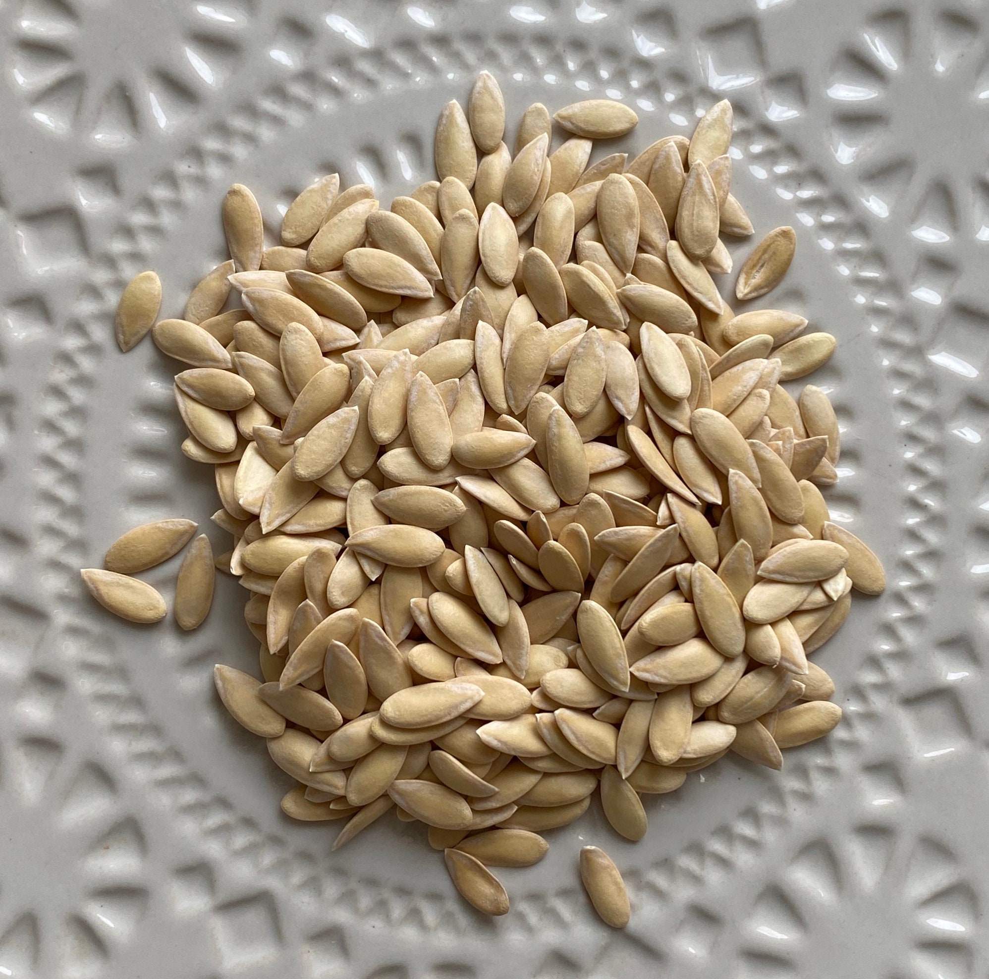 Organic Cantaloupe Seeds Etsy