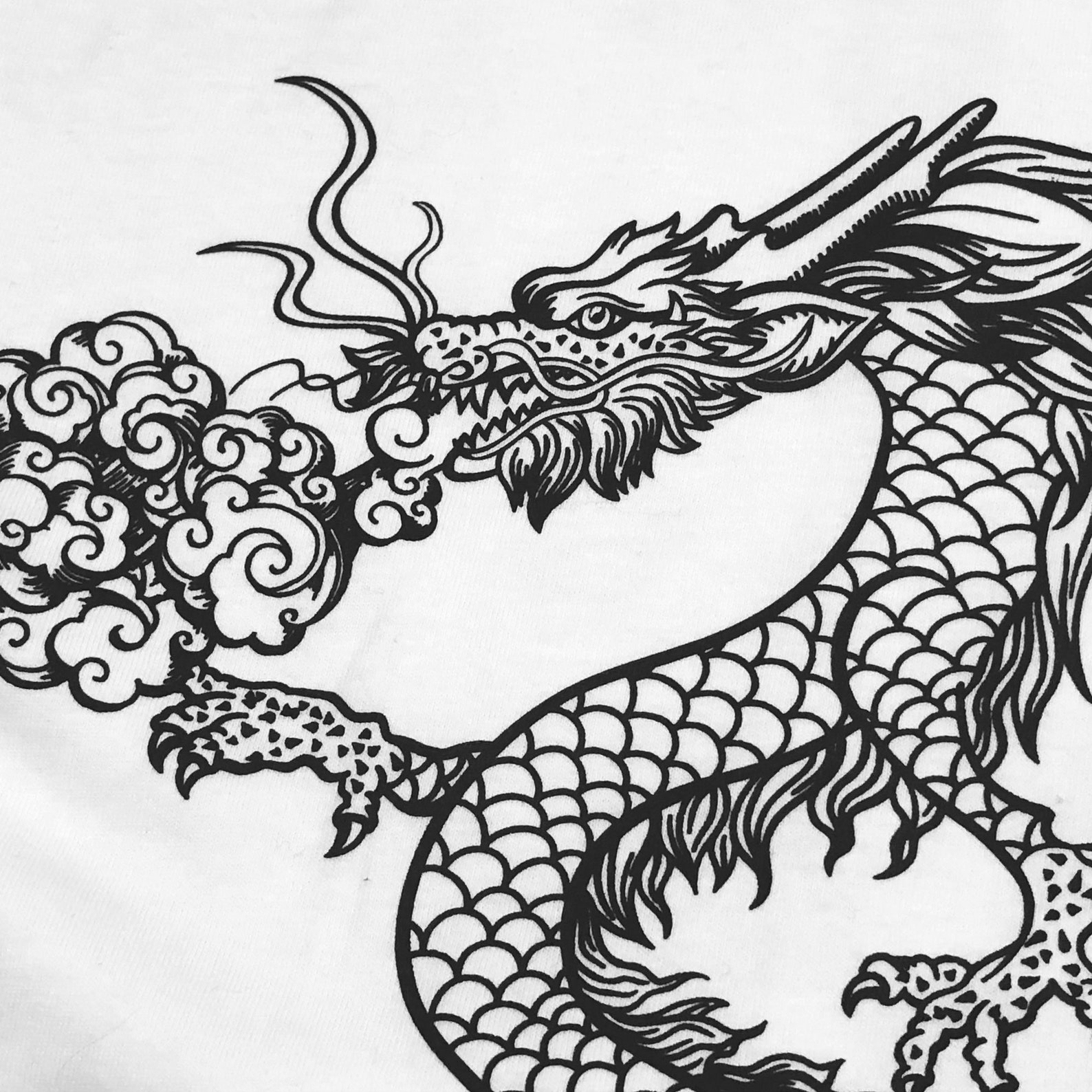 Japanese Aesthetic Dragon Shirt Dragon Aesthetic Dragon - Etsy