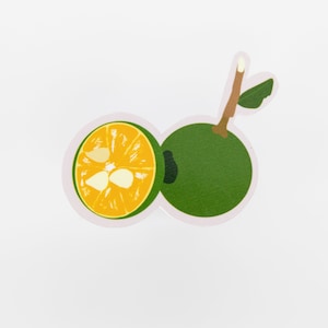 Pegatina Calamansi, pegatina de frutas, pegatina filipina, pegatina filipina, pegatina impermeable, pegatina Pinoy, pegatina Pinay, pegatina de botella de agua