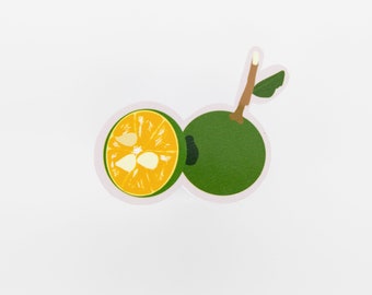 Calamansi Sticker, Fruit Sticker, Filipino Sticker, Filipina Sticker, Waterproof Sticker, Pinoy Sticker, Pinay Sticker, Waterbottle Sticker