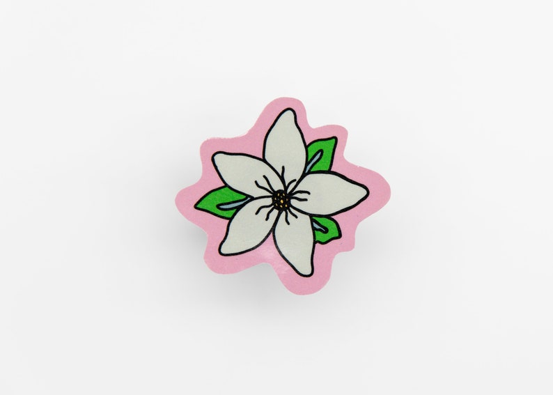 May include: A white flower with five petals and green leaves on a pink background. The flower is drawn in a simple, cartoon style.