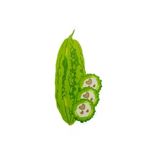 Bitter Melon Sticker, Filipino, Pinoy, Philippines, Vegetables, Ampalaya