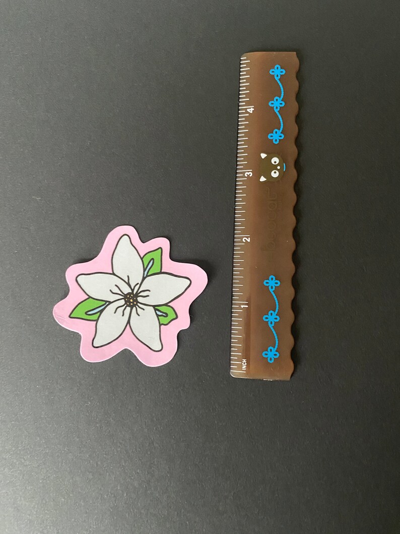 May include: A white flower with five petals and green leaves on a pink background. The flower is outlined in black. The sticker is approximately 2 inches in diameter.