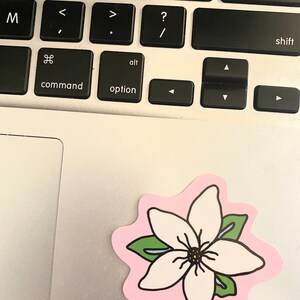 May include: A white flower with five petals and a yellow center, surrounded by two green leaves, on a pink background.
