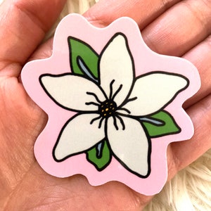May include: A white flower with green leaves on a pink background. The flower has a yellow center with black dots.