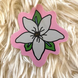 May include: A white flower with green leaves on a pink background. The flower has a yellow center and is surrounded by a pink border.
