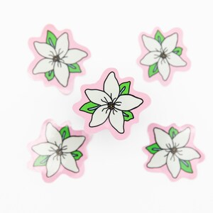 May include: Five white flower stickers with green leaves on a pink background. The flowers have five petals and a brown center.