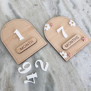 Marcadores de hitos mensuales intercambiables /Arcos de hitos de madera /Accesorios fotográficos de hitos para bebés /Flor de anuncio de nacimiento y recién nacido /Niña