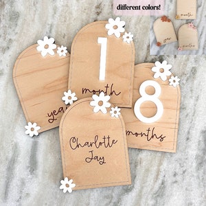 Interchangeable Flower Monthly Milestone Markers | Wood Milestone Arches | Baby Milestone Photo Props | Newborn and Birth Announcement |