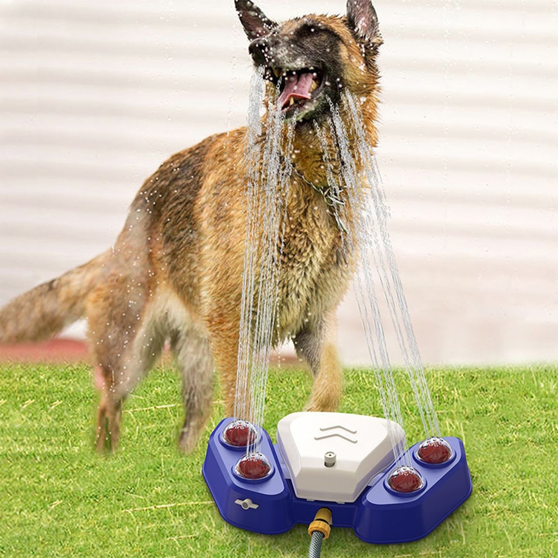 Dog Step on Water Fountain dog Press Drinking Water Feeder Etsy