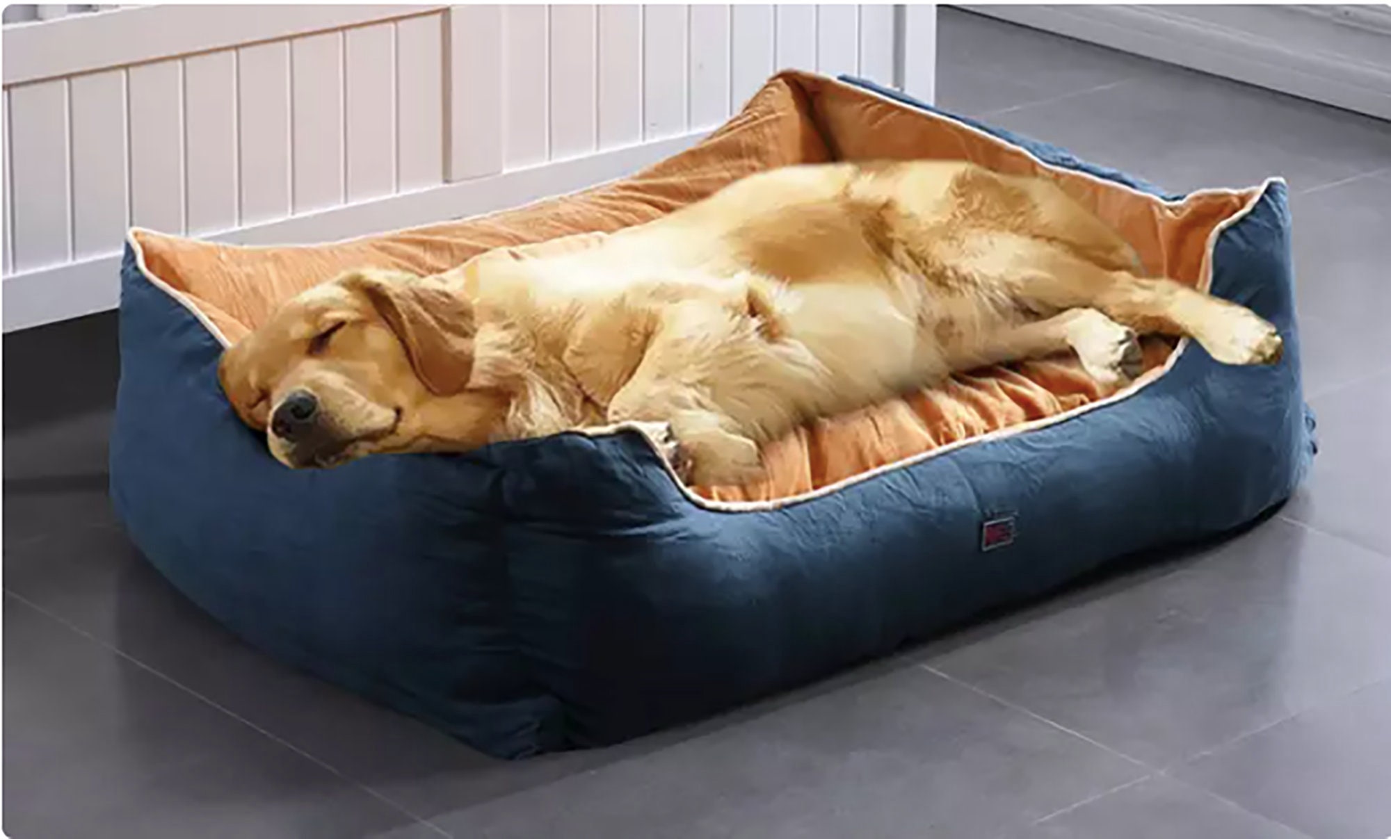 pet bed and mattress