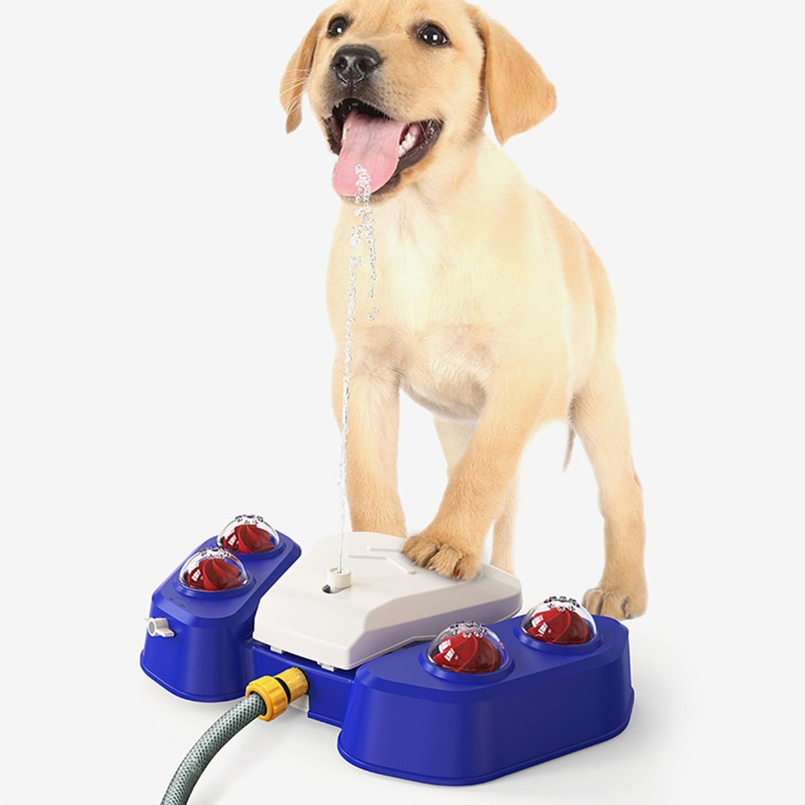 Dog Step on Water Fountain dog Press Drinking Water Feeder Etsy