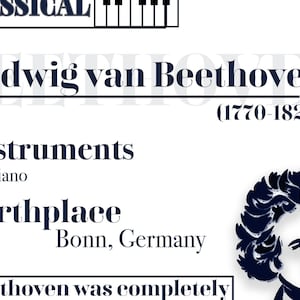 Teach Sheets - Ludwig van Beethoven - Composer Quick Facts Digital Download - Ideaal voor muzieklessen!
