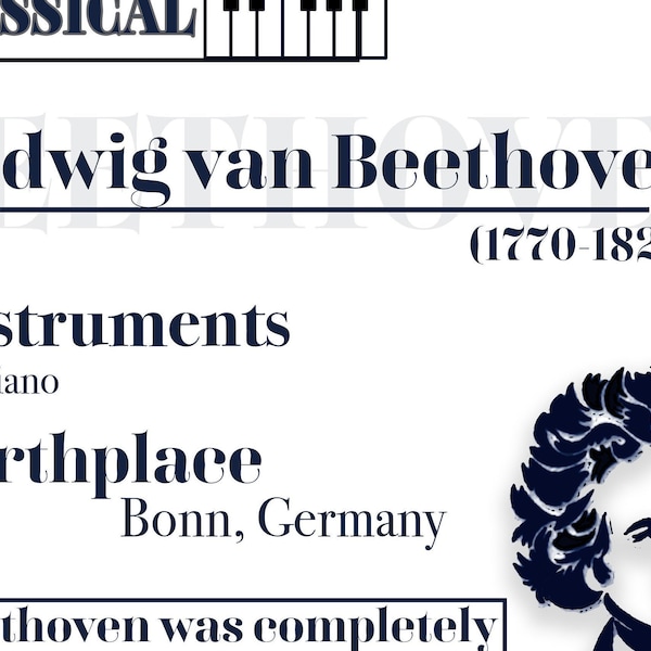 Teach Sheets - Ludwig van Beethoven - Composer Quick Facts Digital Download - Great for Music Lessons!