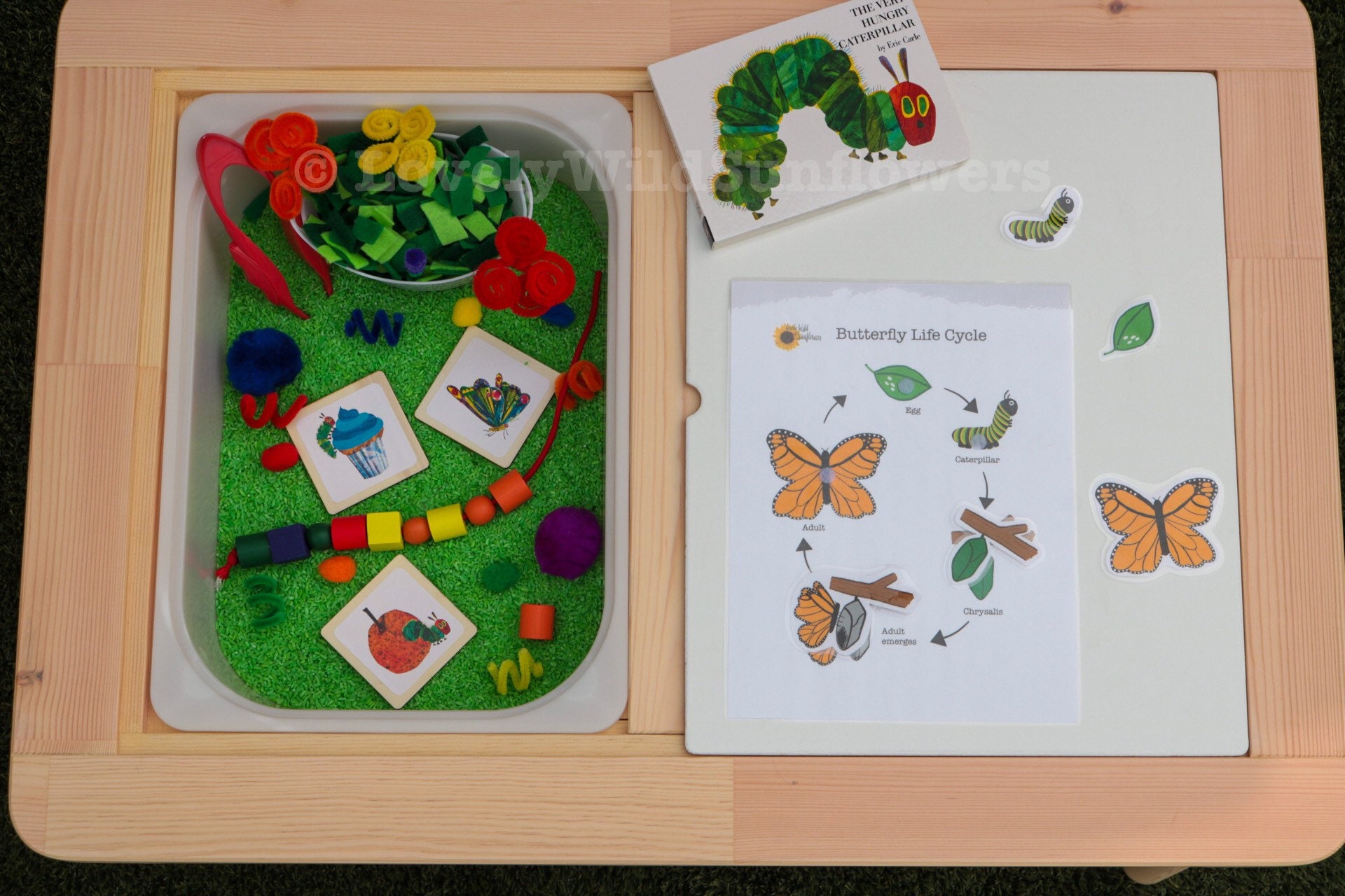Butterfly Life Cycle Printable PDF | Teaching Supplies for Preschool ...